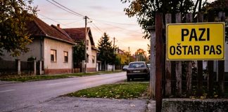 Pas bez nadzora ugrizao maloljetnicu