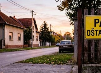 Pas bez nadzora ugrizao maloljetnicu