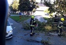 Stablo palo na prometnicu kraj Zvečevačkog parka, intervenirali vatrogasci