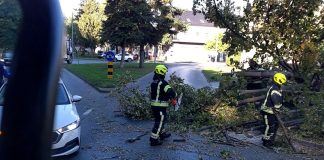 Stablo palo na prometnicu kraj Zvečevačkog parka, intervenirali vatrogasci