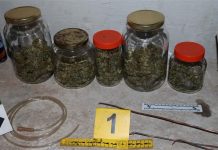 U kući i automobilu 43-godišnjaka u Požegi pronađena marihuana i oprema za uzgoj