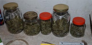 U kući i automobilu 43-godišnjaka u Požegi pronađena marihuana i oprema za uzgoj