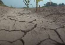 Proglašena prirodna nepogoda – suša za područje Požeško-slavonske županije