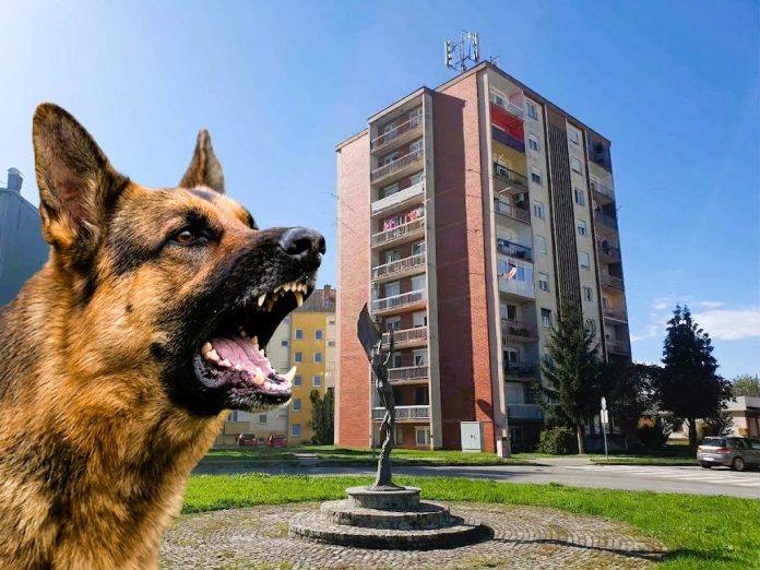 naslovnica